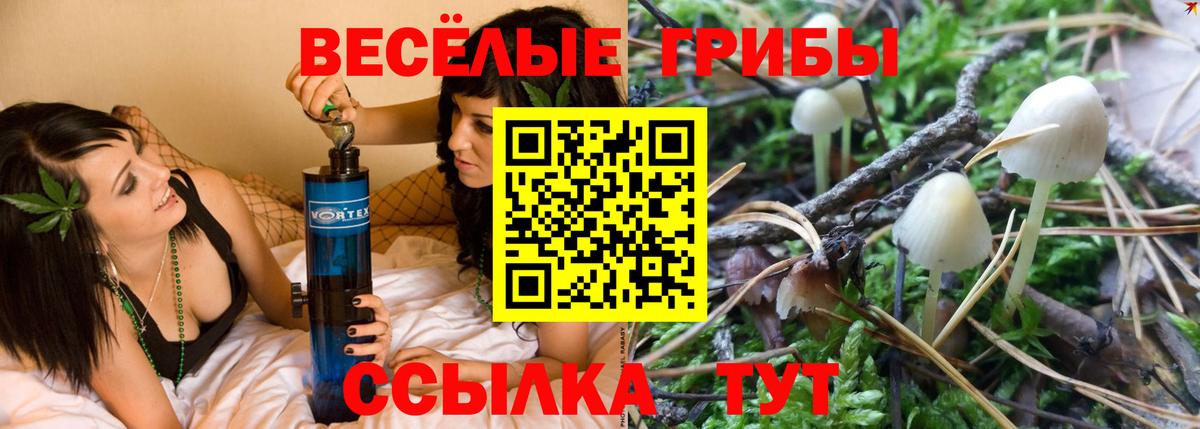 Псилоцибиновые грибы Cubensis  Вход с VPN  Галлюциногенные грибы Magic Shrooms  Удомля 